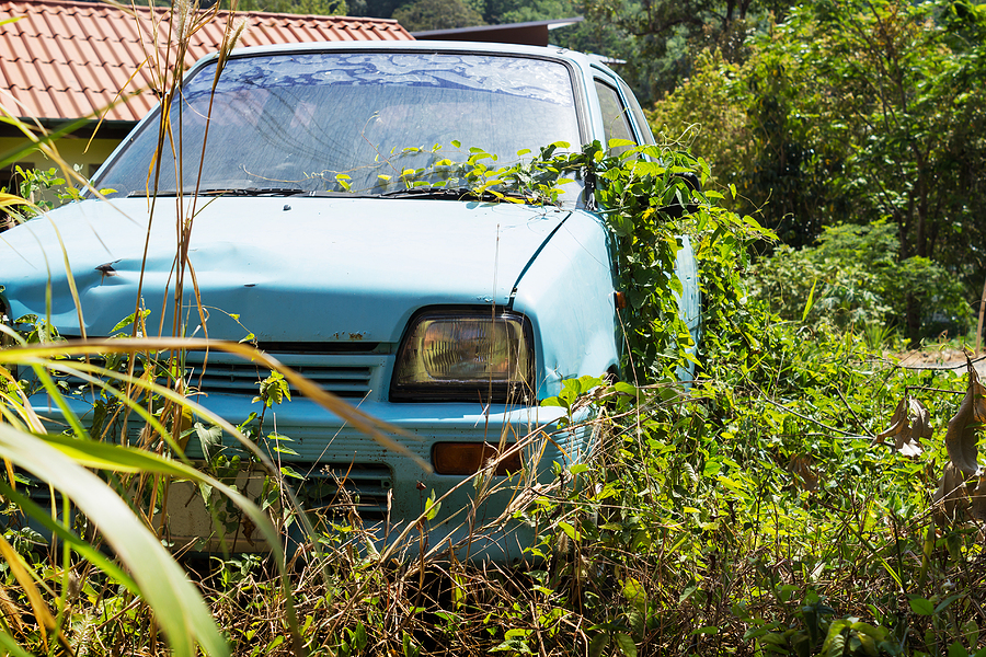 Call 502-804-5605 to Reach Our Professional Scrap Car Yard in Louisville Kentucky